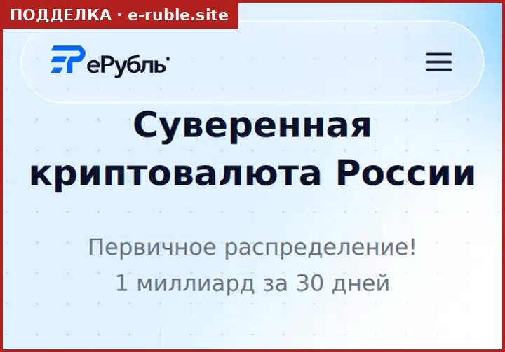 Скриншот подделки e-ruble.site: копия страницы erub.site с формой входа