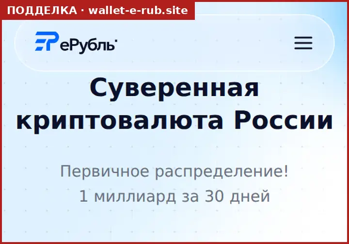Скриншот подделки wallet-e-rub.site: копия страницы erub.site с формой входа